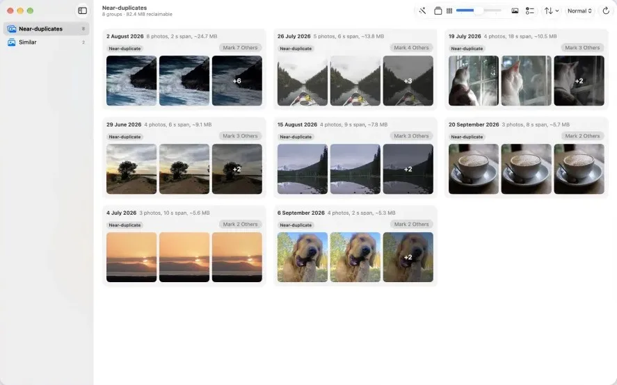 Pare on Mac showing near-duplicate groups